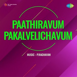 Paathiravum Pakalvelichavum (Original Motion Picture Soundtrack) - Single