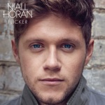Niall Horan - Since We're Alone