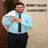 Mehmet Kalkan - Sıladan Gurbete
