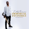 Immortal Invisible (feat. Niiella) - Single