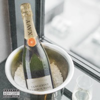 Tangerine Tambourine - Single - Xavy Rusan