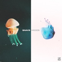 Moods - Single - Snavs
