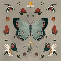Butterfly - Single - Kuchenmann & Jou-Lee