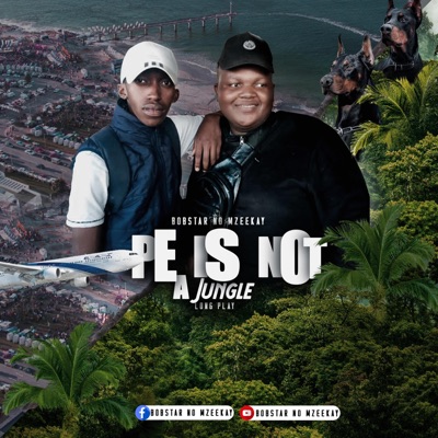 Iziyolo Zelizwe - Single