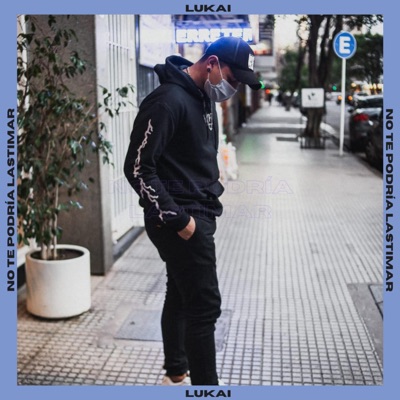 No Te Podría Lastimar - Single