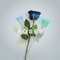 MATTHEW PARKER / SAJAN NAURIYAL - ROSES