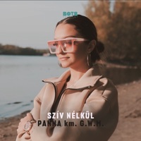 Szív nélkül (feat. G.w.M.) - Single - Panna