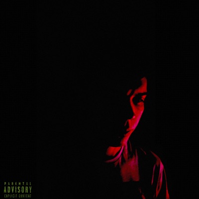 ANGRY VIBES (DELUXE EDITION)