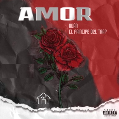 Amor - Single