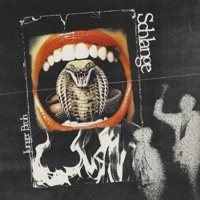 Schlange - Single - Junger Broh