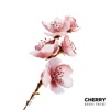 Cherry - Single