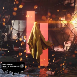 What You Gonna Do? Erbes & Kryme