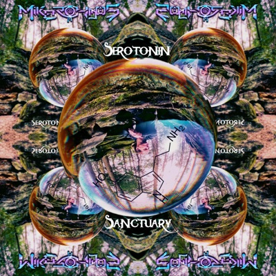Serotonin Sanctuary - Single