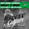 Soft House Company - What You Need (Micky More, Andy Tee Remix)