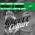 What You Need (Micky More & Andy Tee Mix)