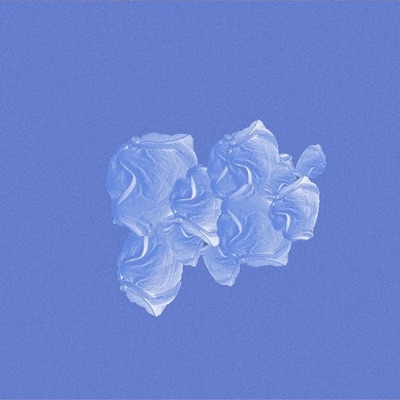 Why Can't You See - Single