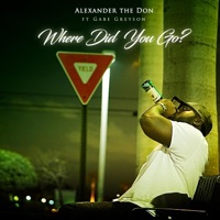 Where Did You Go? (feat. Gabe Greyson) - Single - Alexander the Don