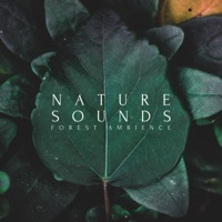 Nature Sounds Forest Ambience - Single - Natural Sounds Selections, Nature Sound Collection & Zen Sounds