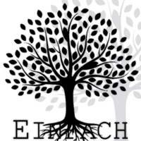 Einfach - Single - Flouw