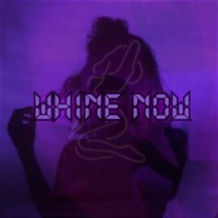 Whine Now (feat. Smooth Mikey, Zebz Ozzibourne & Jengs) - Single - Brenz