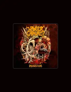 收听 Manger Cadavre?、观看音乐视频、阅读小传、查看巡演日期等 ！