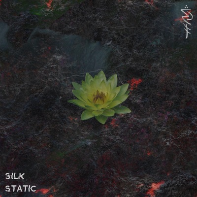 Germination - Single