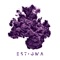 Selva - Kroniko lyrics
