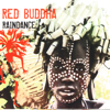 Raindance - Red Buddha & Sufis Expressions