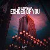 Echoes of You artwork