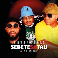 Sebete Sa Tau (feat. Mokotjo & BlackSoul) - Single - Higher Self