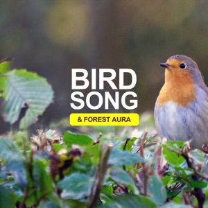 Bird Song & Forest Aura - Single