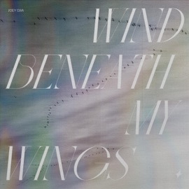 Wind Beneath My Wings JOEY DJIA