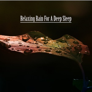 Relaxing Rain For a Deep Sleep