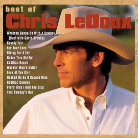 This Cowboy's Hat Chris LeDoux