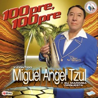 Miguel Angel Tzul y Su Marimba Orquesta - Dinamita Mix: Mi Cucu / Maruja / Se Me Perdió la Cadenita / La Bamba / La Cumbia Barulera / Mil Horas / Ay Chave