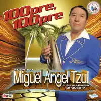 Dinamita Mix: Mi Cucu / Maruja / Se Me Perdió la Cadenita / La Bamba / La Cumbia Barulera / Mil Horas / Ay Chave — Miguel Angel Tzul y Su Marimba Orquesta