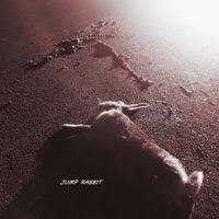 JUMP RABBIT - Single - Paranoah