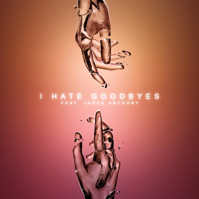 I Hate Goodbyes (feat. Jared Anthony) - Single