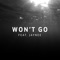 Won't Go (feat. Jaynee) artwork