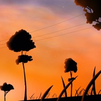 Trying To Let Loose - Single - Ningen