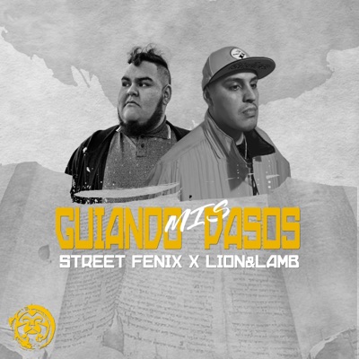Guiando Mis Pasos (feat. Lion&Lamb) - Single