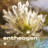 Entheogen