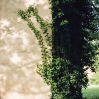 Walking Down Disruption, Pt. 1 - Single - VANILA