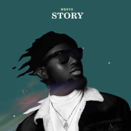Story Mbryo