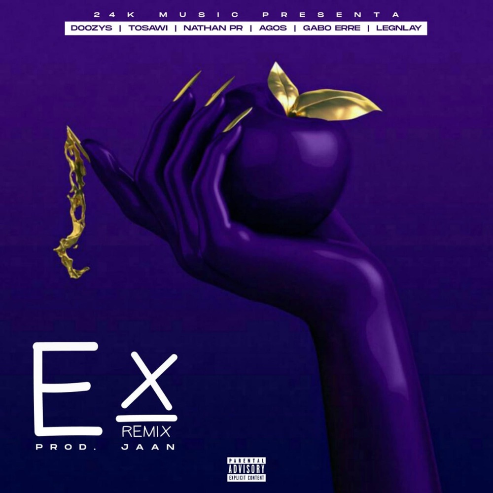 Обложка альбома «Ex RMX (feat. Tosawi, Nathan PR, LEGNLAY, Agos & Gabo Erre) - Single» — Doozys