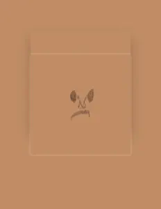 MIDNIGHT TEXASを聴いたり、ミュージックビデオを鑑賞したり、経歴やツアー日程などを確認したりしましょう！