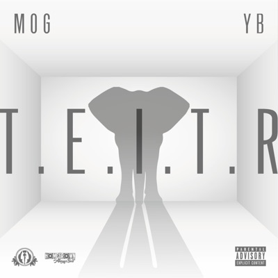 T.E.I.T.R