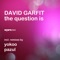 The Question Is (Pazul Remix) - David Garfit lyrics