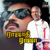 Meenamma Meenamma - Mano &amp; K.S. Chithra Cover Art