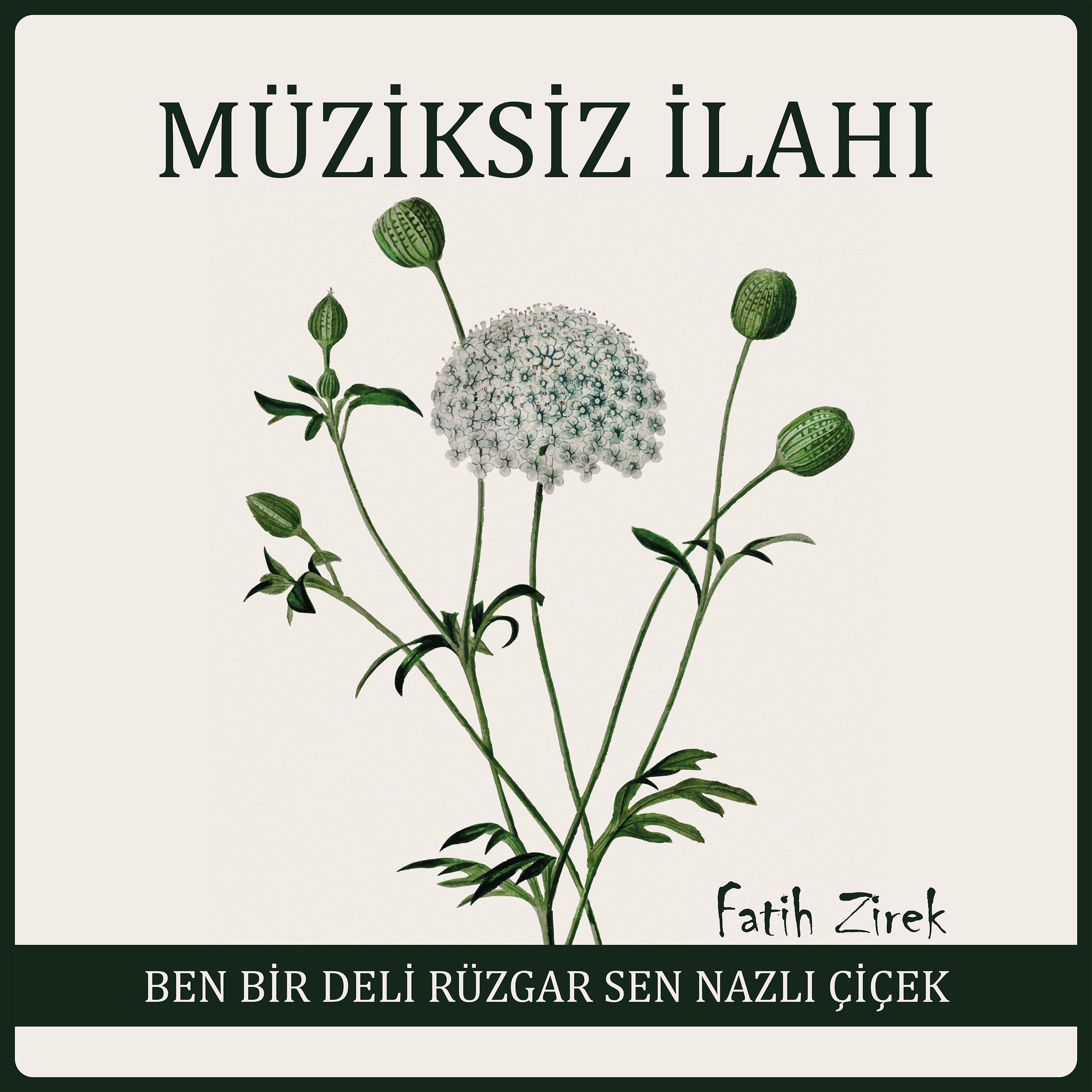 Ben bir deli rüzgar sen nazlı çiçek - Single